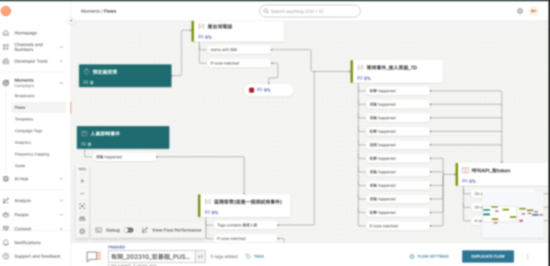 Infobip 自動化 flow — 分群推播流程